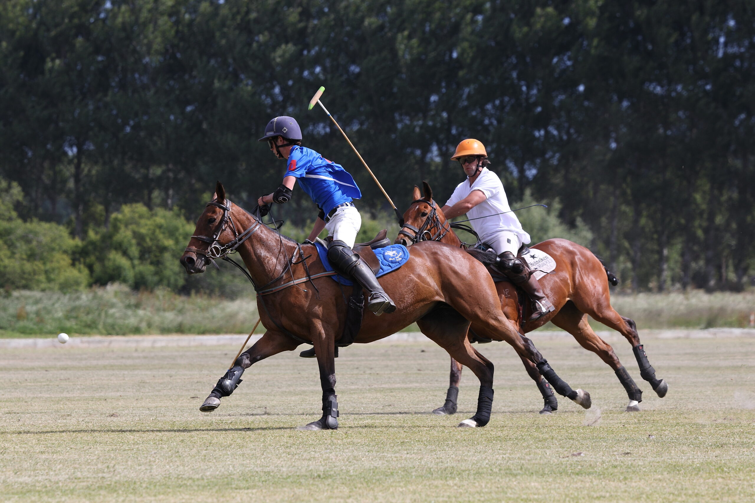 Two riders playing polo.